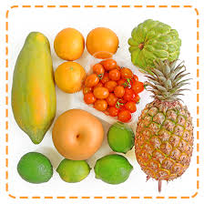 養生這樣吃！日名醫推6長壽飲食法原則